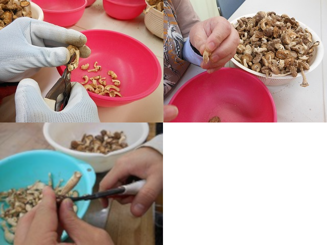 Cut the stem of a Shiitake mushrooms